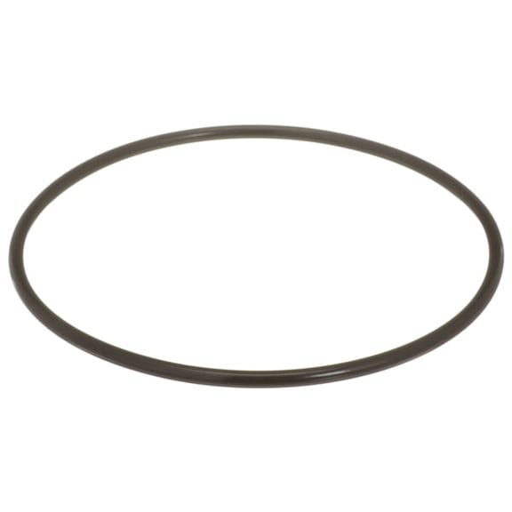 Delphi Fuel Pump Tank Seal