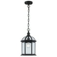 thumbnail image 3 of Trans Globe Lighting 4183 Botanica 1 Light Outdoor Small Single Pendant - White, 3 of 7