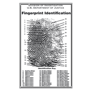 Crime Scene Fingerprint Chart, Poster Size 24" by 36"
