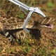thumbnail image 5 of Soidarity Pinzas de serpiente de acero inoxidable de alta resistencia, cerraduras de tres agujeros, protección, ajuste de Clip de basura, Clips Ropa Deportiva, Zapatos Tipo 2 NO1 Soidarity OD013799-01, 5 of 6