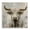 Western Cattle Rodeo, variant on Stupell Industries Rustic Lodge Rustic Cow Looking Right Black Floating Frame Canvas Art, 18 x 18, by Grace Popp
