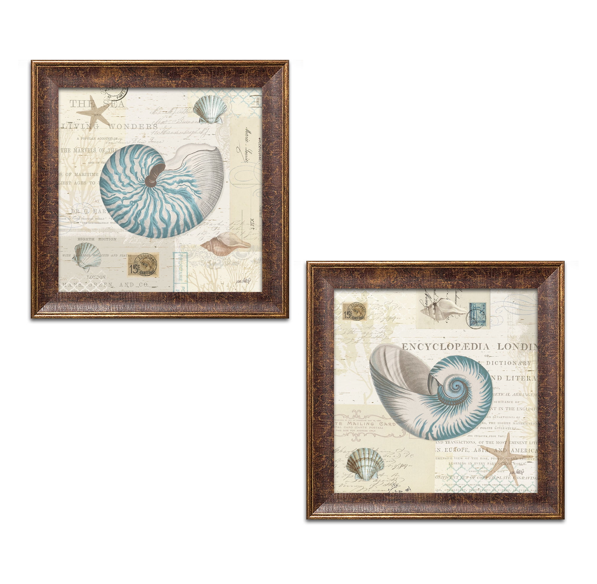 Gango Home Decor Classic Seashell Coastal Collage Wall Art ; Two Blue  12x12in Art Prints in Gold Trim Brown Frames - Walmart.com