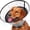 L, variant on Soft Dog Cone for Large Medium Small Dogs, Breathable Surgical Recovery Elizabethan Collar After Surgery, Adjustable Pet E Collar to Stop Licking Biting Wounds