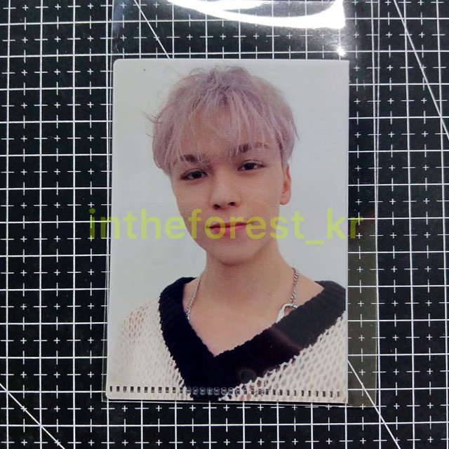 Selfie MINI L HOLDER SEVENTEEN FML beneficio CARVER KTOWN4U (SCOUPS JEONGHAN JOSHUA JUN WONWOO WOOZI HOSHI MINGYU DK THE8 SEUNGKWAN VERNON DINO)