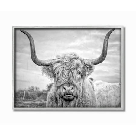 The Stupell Home Decor Black and White Highland Cow Photograph Gray Framed Texturized (Sasha Grey Best Photos)