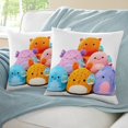 thumbnail image 3 of Squishmallows Fundas de almohada de terciopelo con tema, regalos de funda de almohada, decoración para el hogar, cojín de lanzar, regalo de cumpleaños para fans y parejas. 45cm x 45cm., 3 of 6