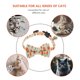 thumbnail image 5 of unbranded 1Ud Collar Ajustable Con Moño Y Para Y Mascotas Pequeñas, 5 of 6