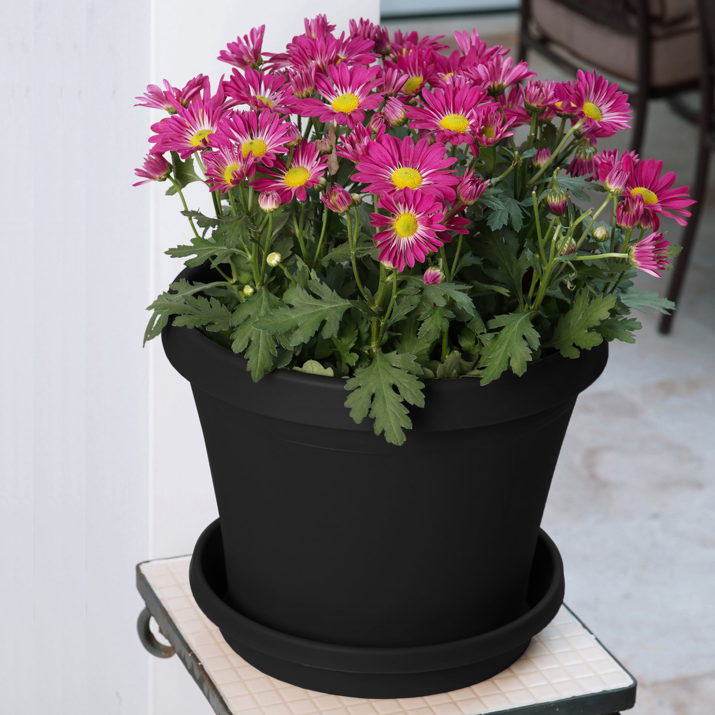 Bloem 16-in Terra Round Resin Planter - Black (Saucer Not Included)