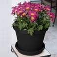 thumbnail image 6 of Bloem 16-in Terra Round Resin Planter - Black (Saucer Not Included), 6 of 7