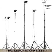 BalsaCircle Black 10 feet x 10 feet Photo Backdrop Stand Kit Studio Background Wedding Party Photo Booth