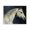 Blue Night Stallion Portrait, variant on Stupell Industries Modern Equine Companions Pair Black Floating Frame Canvas Art, 21 x 17, by Svetlana Aleynikova