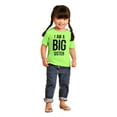 thumbnail image 3 of Big Sister Older Sibling Family Youth T Shirt Tee Girls Infant Toddler Brisco Brands 5T, 3 of 5