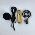 thumbnail image 1 of LEEYNEER Vocal Microphone Double-layer Elastic Mesh Golden 1Set  Conference and Performance, 1 of 8