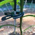 thumbnail image 2 of 80 Clips (30 Grandes + 50 Pequeños) Clips de Corbata para Plantas Verdes - Ayuda para Trepar Plantas Trepadoras en Estacas en Espiral o Clips de Estacas de Bambú para Jardinería y Huertos, 2 of 5