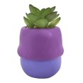 thumbnail image 4 of Maceta Prichos con Diseño de Gnomo con Planta Artificial 9.3 cm Varios Modelos 1 Pieza Multicolor, 4 of 4