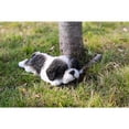 thumbnail image 5 of Figura RUNADI Hi-Line Gift 87710-J Shih Tzu Sleeping Cachorro, 5 of 5
