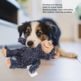 thumbnail image 3 of Dog Companion Teeth Grinding Fun Speaking Bite Resistant Plush Bear Interactive Dog Toy, 3 of 7