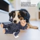 thumbnail image 3 of Compañero De Perro, Juguete De Peluche Multifuncional Para El Hogar, 3 of 7