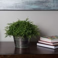 thumbnail image 3 of Vickerman FF170602 18 in. Mixed Greenery Green Half Ball, 3 of 4