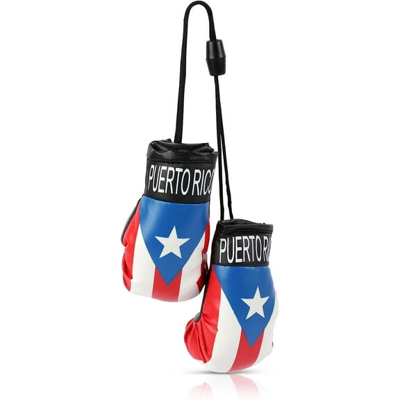 SandT Collection Country Flag Mini Boxing Gloves - Hanging Punching Gloves