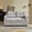 Gray, variant on 58.27" Convertible Loveseat Sofa Bed, Pull-Out Sleeper with Adjustable Backrest, 3 USB Charging Ports & Side Pockets, Space-Saving Couch for Living Room Apartment, Gray