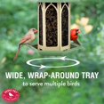 thumbnail image 4 of Wildlife Feeder Perky-Pet GAZ01 Pistacho de 1,6 kg de capacidad, 4 of 9