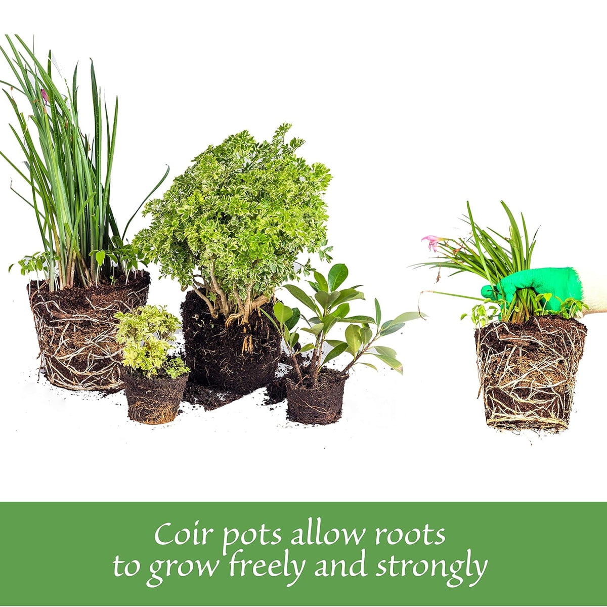 Tutuviw Coco Coir Nursery Pots,10 Pcs Biodegradable Small Plants Pots,Coconut Fiber Seedling Pots for Seed Starter,Seed Starter Tray for Indoor Outdoor,Organic Planting (2.6in)