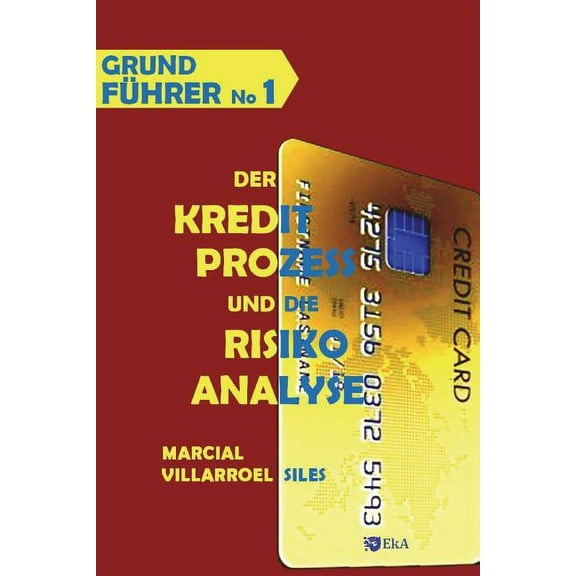 Analyse Des Risikos Im Kredit GrundfÃ¼hrer Der Kreditprozess Und Die Risikoanalyse, Book 1, (Paperback)