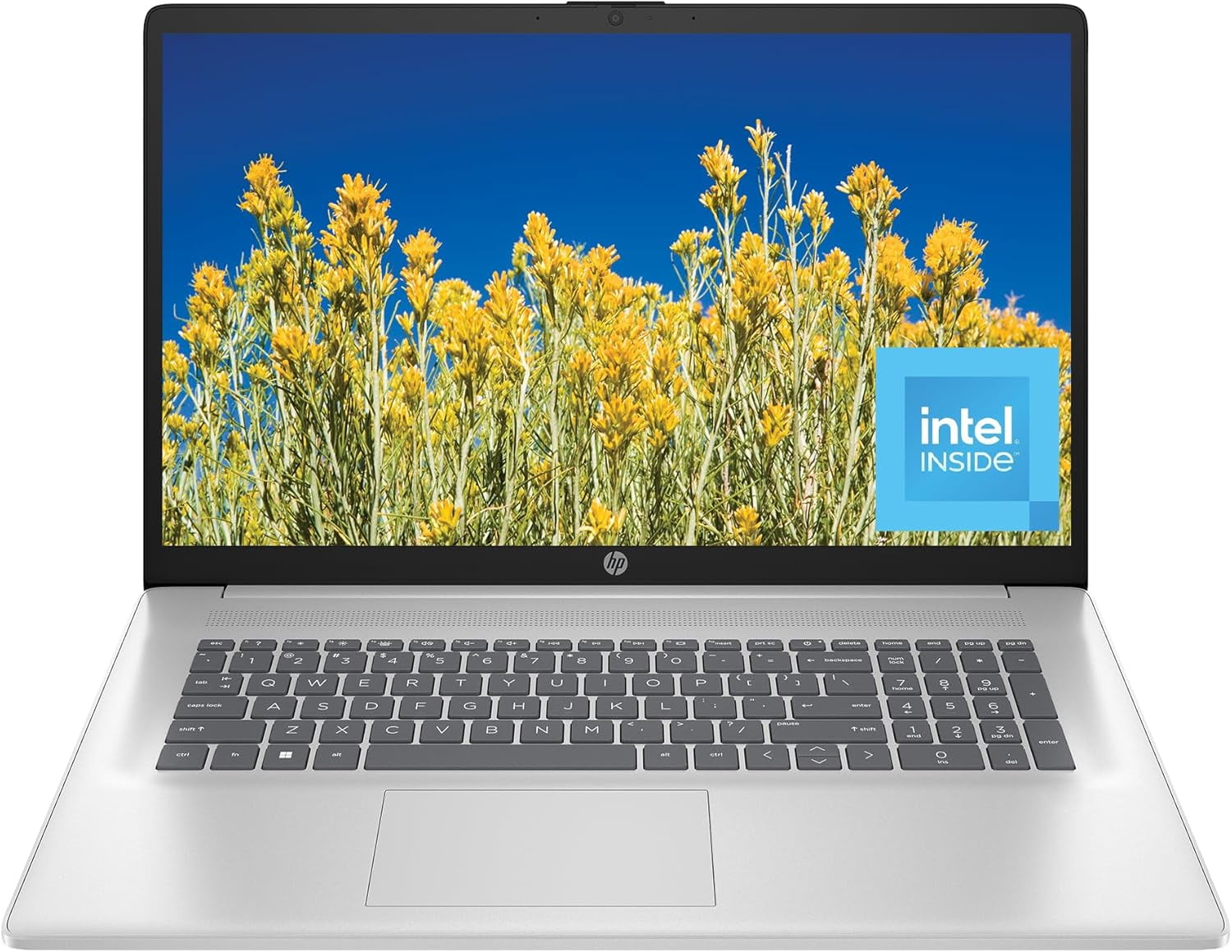 HP 17.3