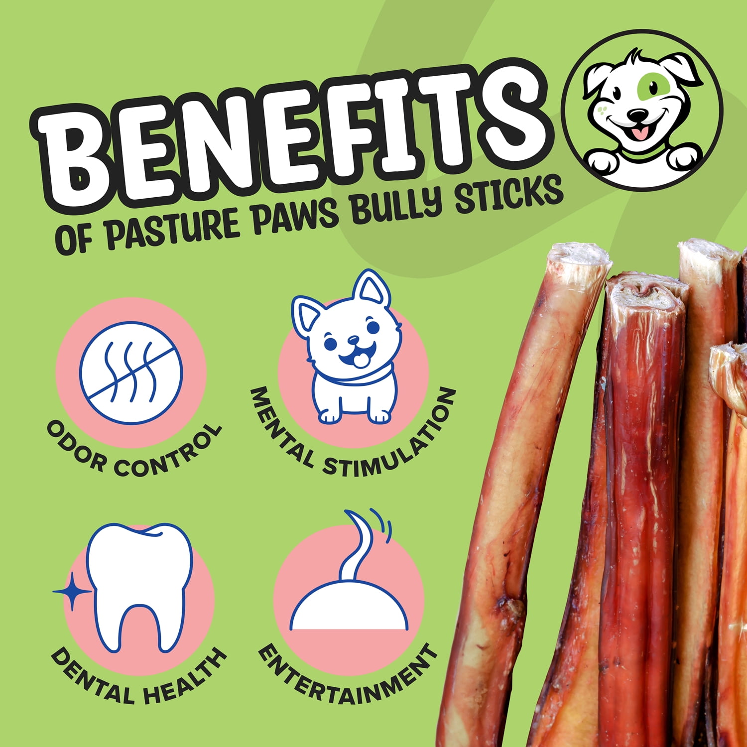 Pasture Paws Bully Sticks for Dogs | Long-Lasting All Natural Dog Chew Sticks | Fully Digestible Low Odor Bully Sticks | Dental Health Support Dog Treats Sticks | 6-inch | 6 oz Pack