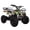 Cartoons, variant on X-Pro Brand New 40cc Gas Mini ATV for Kids 2026 ver. with Pull Start 4 Stroke Disc Brake 6" Tires