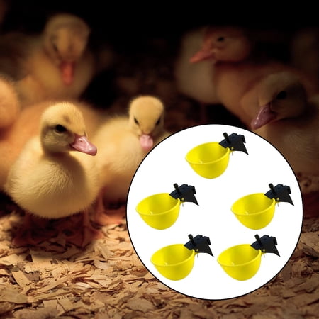 5Pcs Automatic Chicken Cups, Feeder Durable Bowls, Watering Cups for Chicks, Poultry Ducks Backyard , 9.5mm