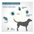 thumbnail image 3 of Collier Anti-moustiques Pour Animaux De Compagniecollier Anti-moustiques Pour Chienscollier Anti-moustiques Rglableproduits Pour Animaux De Compagnie, 3 of 3