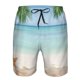 thumbnail image 3 of Fotbe Starfish in Beach Trajes de Baño Estampados para Hombre, Shorts de Verano de Secado Rápido, Ropa de Playa, Bañadores-Small, 3 of 6