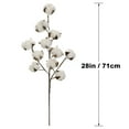 thumbnail image 3 of 16 Pack: Cotton Stem by Ashland, 3 of 3
