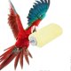 thumbnail image 2 of Totoro Squirrel Hamster Standing Platform Parrot Grinding Stone for Bird Accessories, 2 of 4