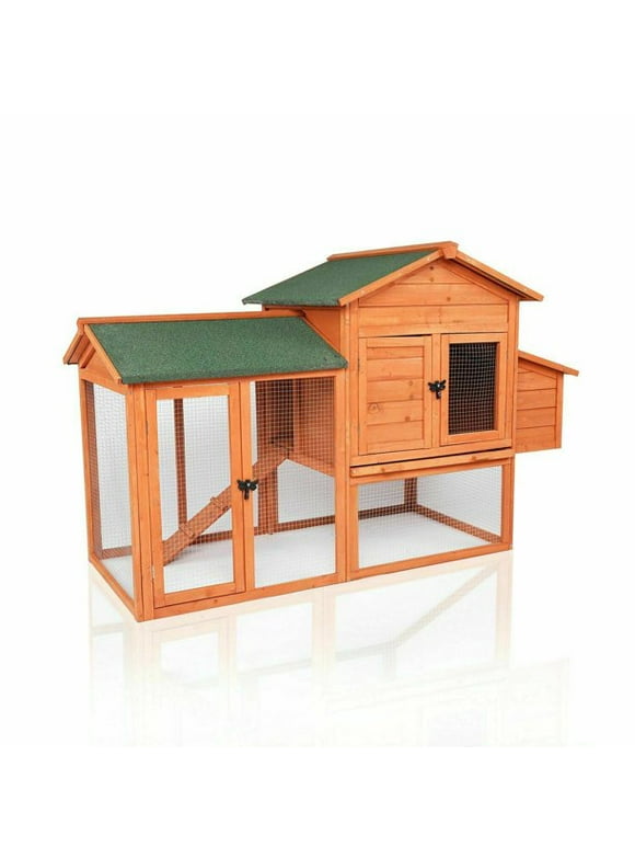 Chicken Coops in Poultry Care