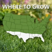 Jonathan Green Fast Grow Grass Seed Mixture - Fast-Growing, Ryegrass - 25 Lb