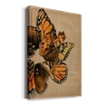 thumbnail image 2 of Winged Wreath I Premium Gallery Wrapped Canvas - Ready to Hang, 2 of 9