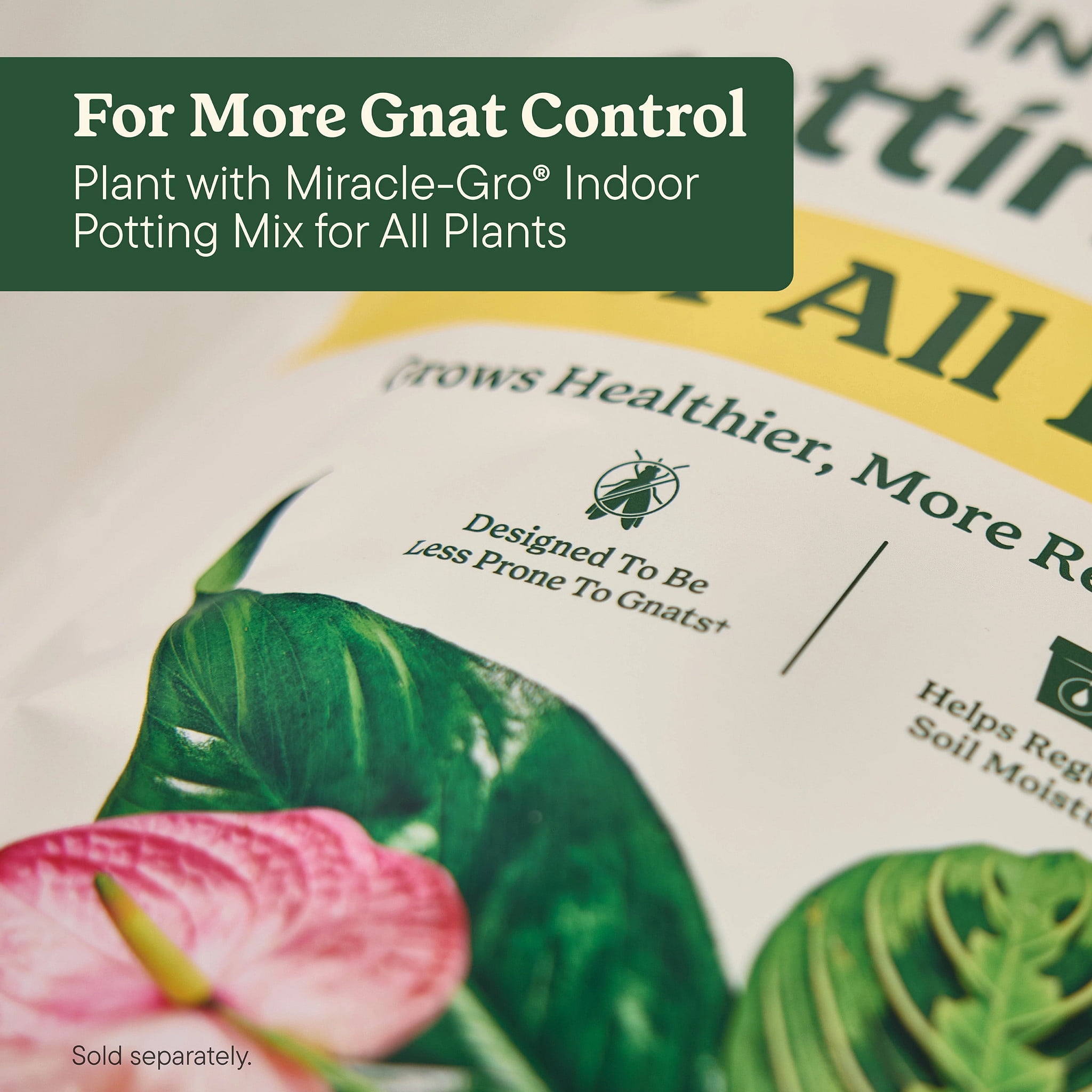 Miracle-Gro Plant Care Leaf Protect and Shine, 4-in-1 Pest Control Spray, 8 fl. oz.