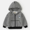 thumbnail image 3 of Tiijoy Toddler Boys Fleece Zip Up Hoodie Casual Comfy Hooded Jacket Outerwear, Sizes 2-3T, 3 of 8