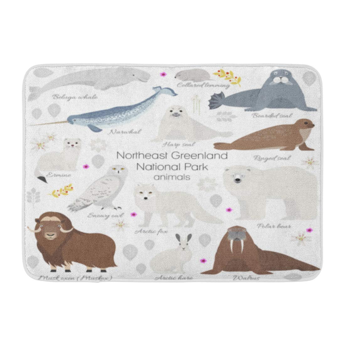 GODPOK Greenland National Park Animal White Polar Bear Narwhal Whale Musk Ox Seal Walrus Arctic Fox Ermine Rug Doormat Bath Mat inch - GODPOK Greenland National Park Animal White Polar Bear Narwhal Whale Musk Ox Seal Walrus Arctic Fox Ermine Rug Doormat Bath Mat inch -