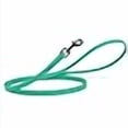 thumbnail image 3 of Dogline Biothane Waterproof Dog Leash Strong Coated Nylon Webbing with Black Hardware Odor-Proof Easy to Clean High Performance for Small or Large Dogs Made in USA 4 or 6 ft Lead, Teal, 3 of 4