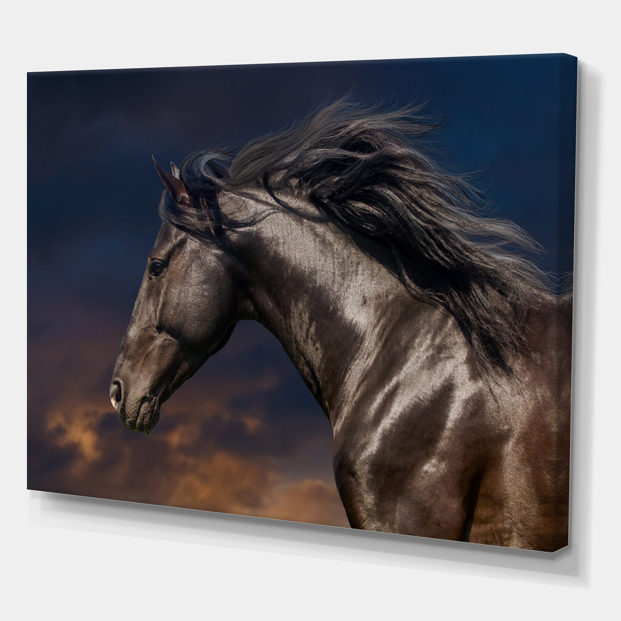 Designart ' Close Up Of Thoroughbred Nonius Stallion Horse III ' Farmhouse Canvas Wall Art Print