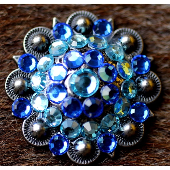 4 Conchos Rhinestone Horse Saddle Western Bridle  Co42