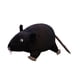 thumbnail image 4 of Muñeca de juguete Hugo Ratón de peluche Negro, 4 of 10