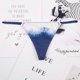 thumbnail image 1 of Ropa interior Sexy de encaje para mujer, bragas transparentes superfinas, tangas huecas más grandes, lote de 1 unidad, dzk09, 1 of 4