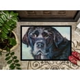 thumbnail image 3 of Carolines Treasures 7419JMAT Tapis Intérieur Ou Extérieur Visage Labrador Noir 24 x 36 Po., 3 of 4