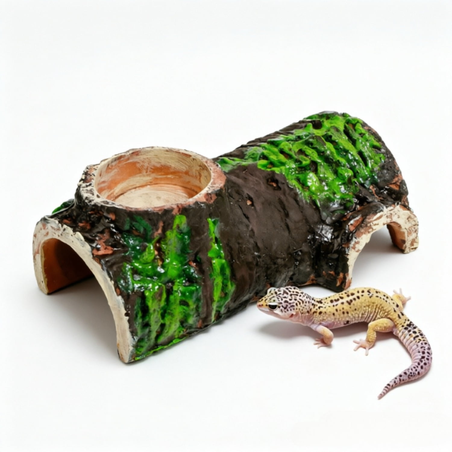 Reptile Hides with Bowl Leopard Gecko Caves for Lizard Tank Accessories