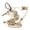 Color Hummingbirds 2, variant on 3D Colored Wooden Mechanical Hummingbird Model Kit with Music Box, 200+PCS DIY Assembly Puzzle, Gear-Driven Wings, Desktop Decor for Adults
